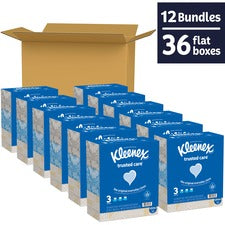 Kleenex trusted care Tissues - 2 Ply - 8.40" x 8.50" - White - Soft, Absorbent, Thick, Strong - For Face, Home - 160 Per Box - 12 / Carton