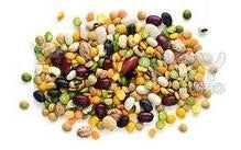 Commodity Polished Black Bean-50 lb.-1/Case