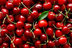 Commodity Jumbo With Stem Cherry-1 Gallon-4/Case