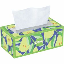 Kimberly-Clark Professional Trusted Care Tissues-2 Ply-White-Wood Pulp-Soft Absorbent Thick-For Face-160 Per Box-24/Carton