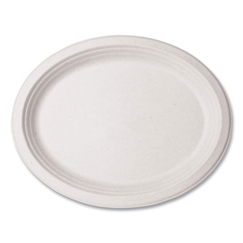 Vegware™ Molded Fiber Tableware Platter 7x10x1 White 500/Case