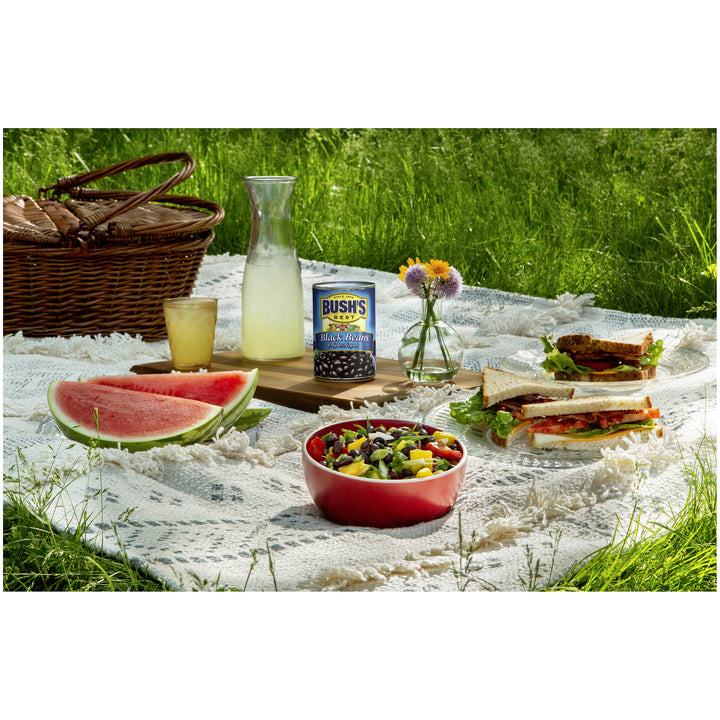 Bush's Best Original Black Beans-15 oz.-12/Case