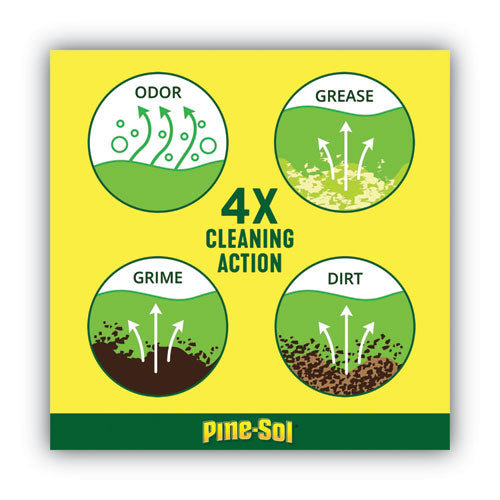 Pine-Sol Multi-surface Cleaner Disinfectant Pine 24 Oz Bottle