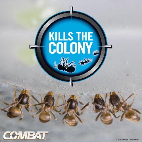 Combat Max 2-in-1 Ant Bait 4/pack 8 Packs/Case