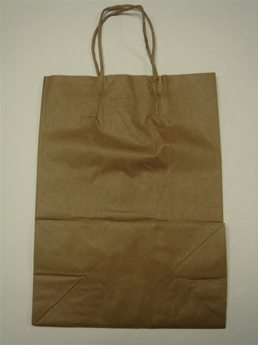 Paper Shopping Bag With Handle Large Large 250/Case