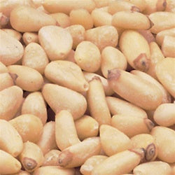 Baker's Select Pignolias Shelled-5 lb.-1/Case