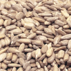Baker's Baker's Roasted Salted Sunflower Seed Kernels-5 lb.-1/Case