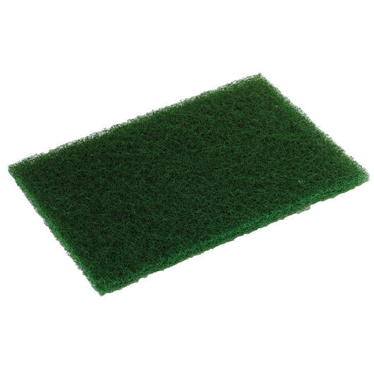 Disco 6 Inch X 9 Inch Heavy Duty Scouring Pag-10 Count-1/Case
