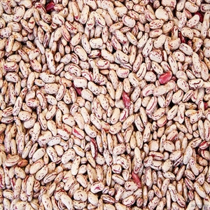 Commodity Triple Clean Pinto Beans-20 lb.-1/Case