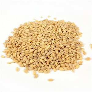 Commodity Pearl Barley Bean-25 lb.-1/Case