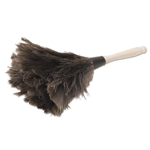 Professional Ostrich Feather Duster, Gray, 14" Length, 6" Handle