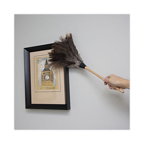 Professional Ostrich Feather Duster, 13" Handle