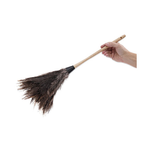 Professional Ostrich Feather Duster, 13" Handle