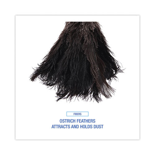 Professional Ostrich Feather Duster, 10" Handle