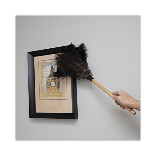 Professional Ostrich Feather Duster, 10" Handle