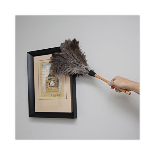 Professional Ostrich Feather Duster, Wood Handle, 20"
