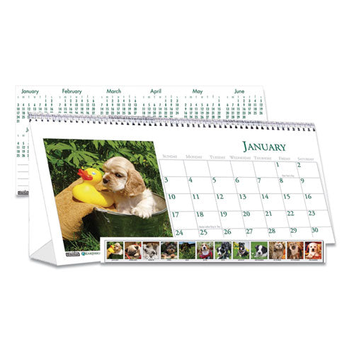 Earthscapes Recycled Desk Tent Monthly Calendar, Puppies Photography, 8.5 X 4.5, White/multicolor Sheets, 2023