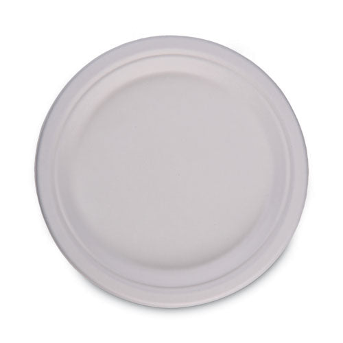 Bagasse Dinnerware, Plate, 10" Dia, White, 500/carton