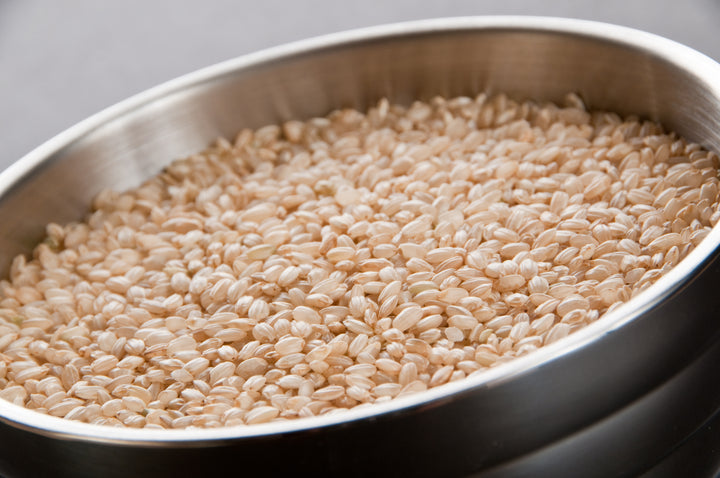 Inharvest Inc Short Grain Brown Rice-25 lb.-1/Case