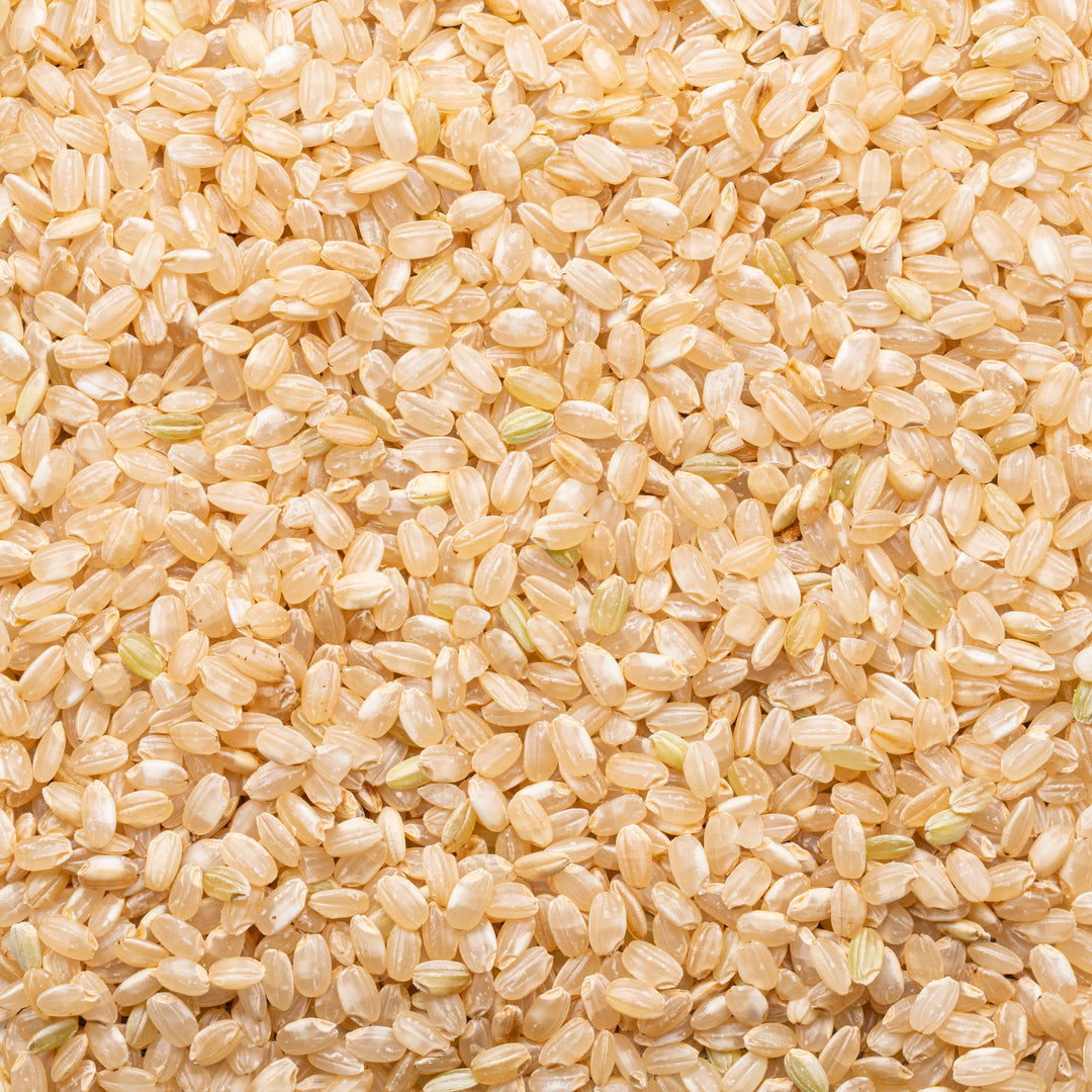 Lundberg Family Farms Organic Short Grain Brown Rice-25 lb.