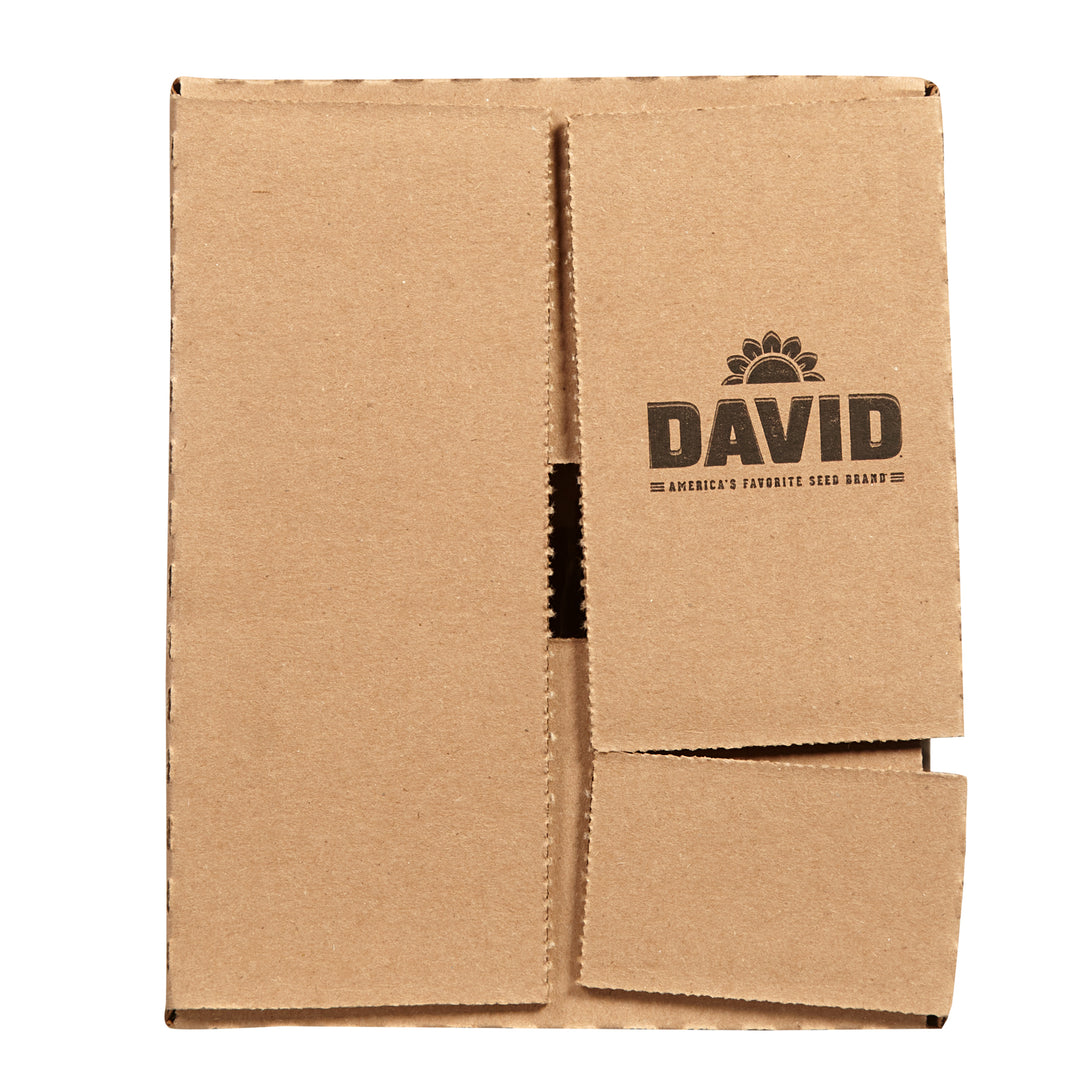 David Bbq Sunflower Seeds-5.25 oz.-12/Case
