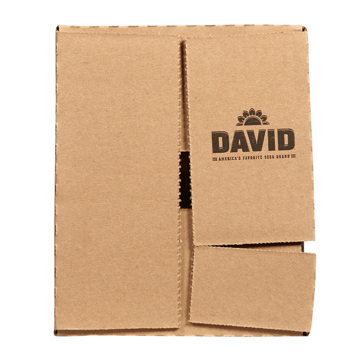 David Bbq Sunflower Seeds-5.25 oz.-12/Case