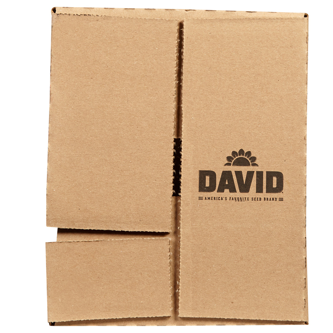 David Bbq Sunflower Seeds-5.25 oz.-12/Case