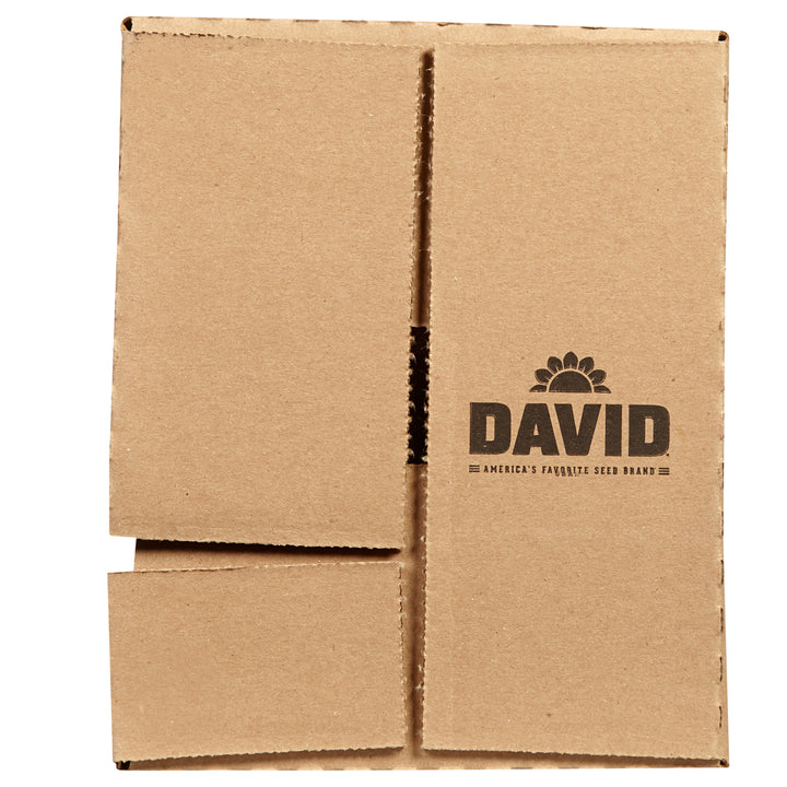 David Bbq Sunflower Seeds-5.25 oz.-12/Case