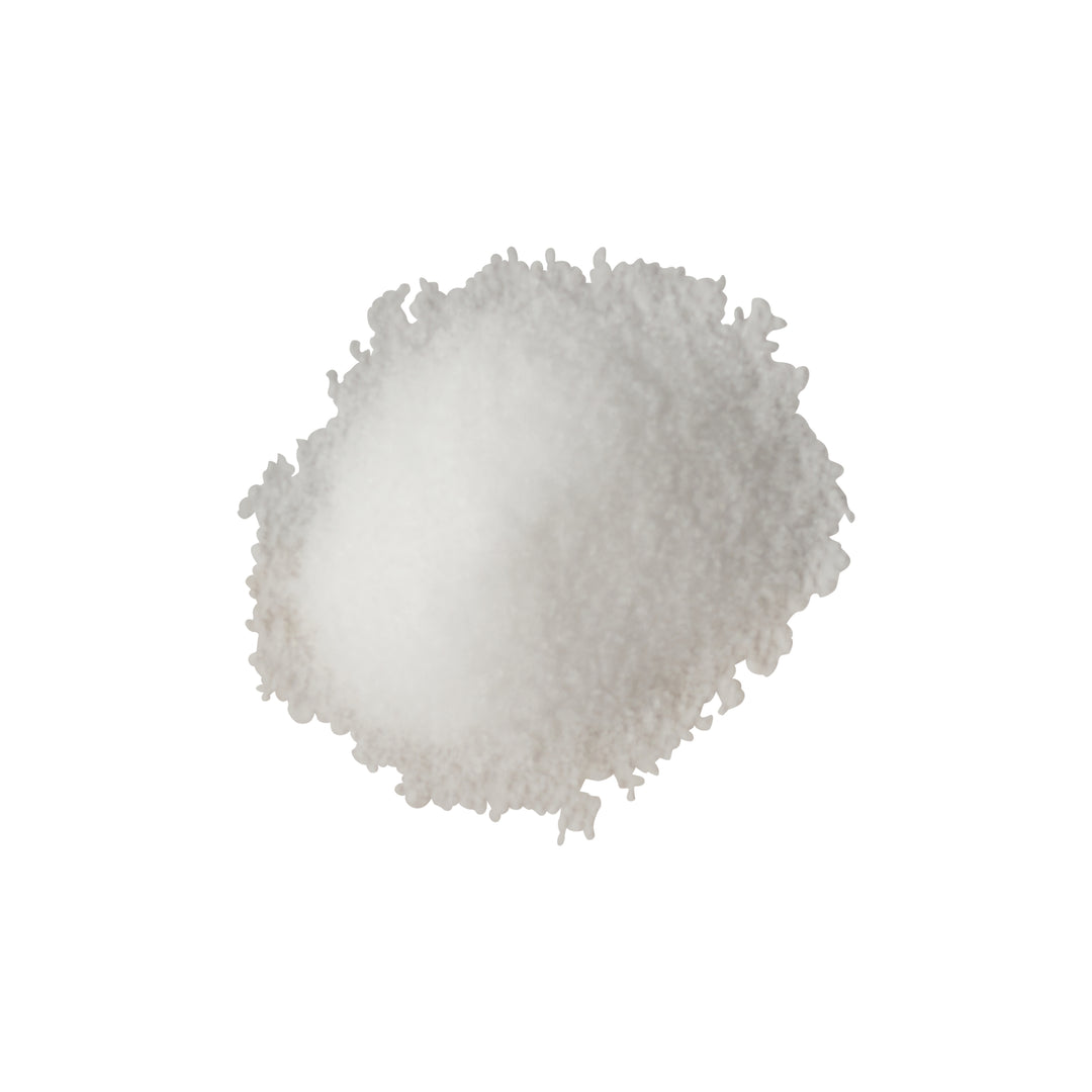 N'joy Disposable Salt Shaker-4 oz.-48/Case