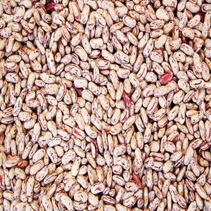Commodity Triple Clean Pinto Bean-50 lb.-1/Case