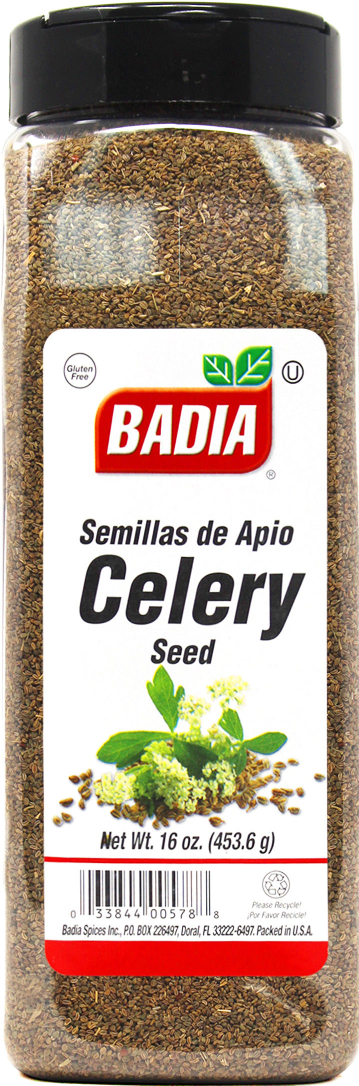 Badia Celery Seed Whole 6/16 Oz.