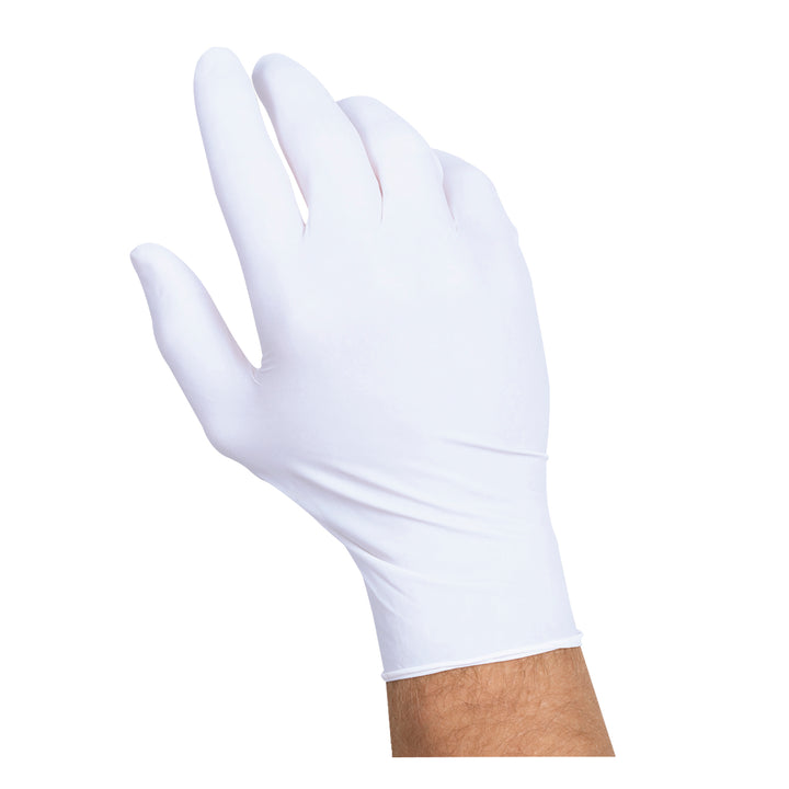 Handgards Naturalfit Powder Free Latex Free Synthetic Large Glove-100 Each-100/Box-10/Case