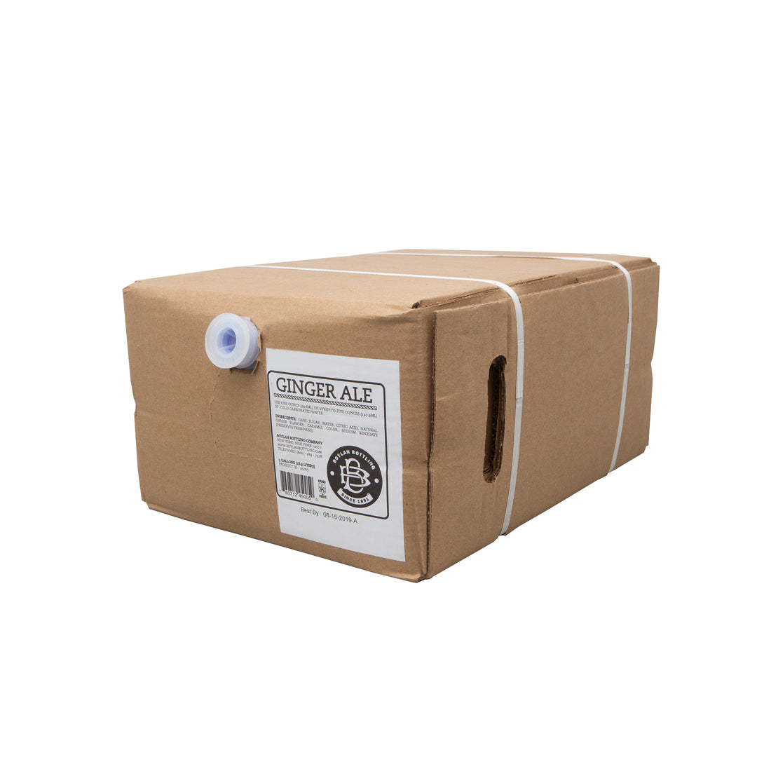 Boylan Bottling Bag-In-Box Ginger Ale Soda-5 Gallon-1/Case