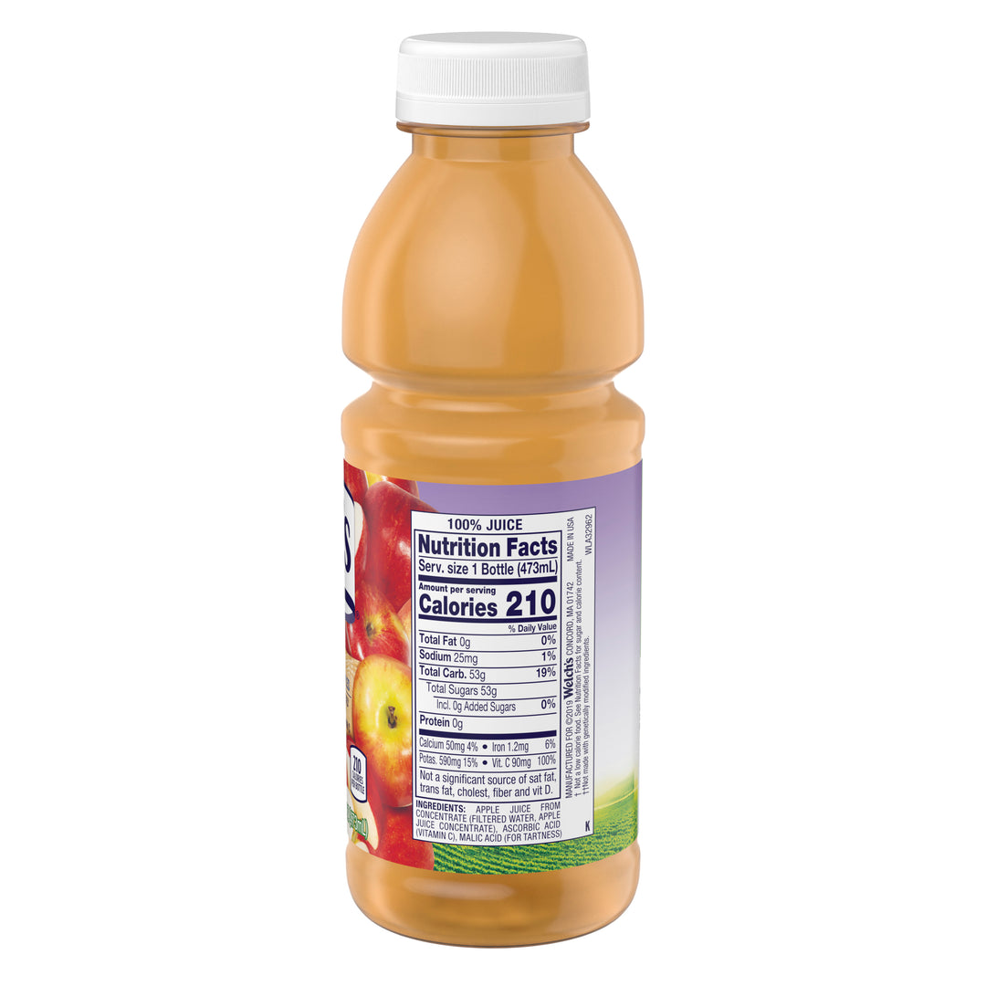 Welch's 100% Apple Juice-16 fl oz.-12/Case