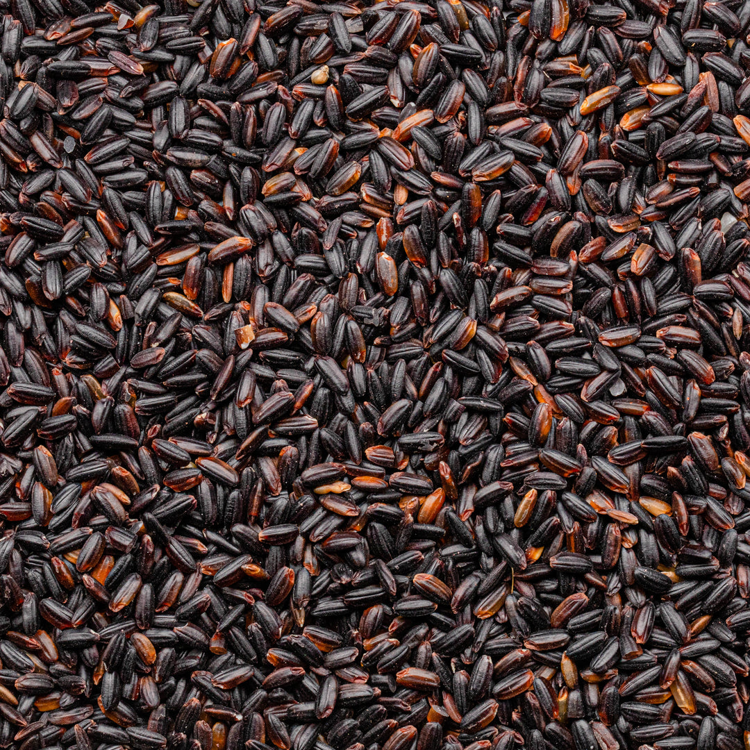Lundberg Family Farms Organic Black Pearl Rice-25 lbs.
