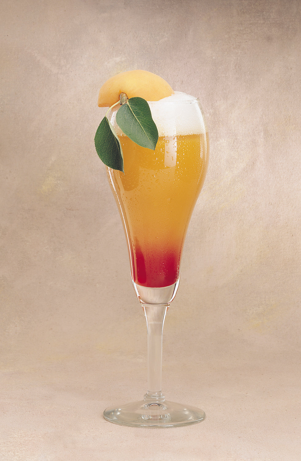 Libbey Citation Gourmet 9 oz. Tulip Champagne Glass-12 Each-1/Case