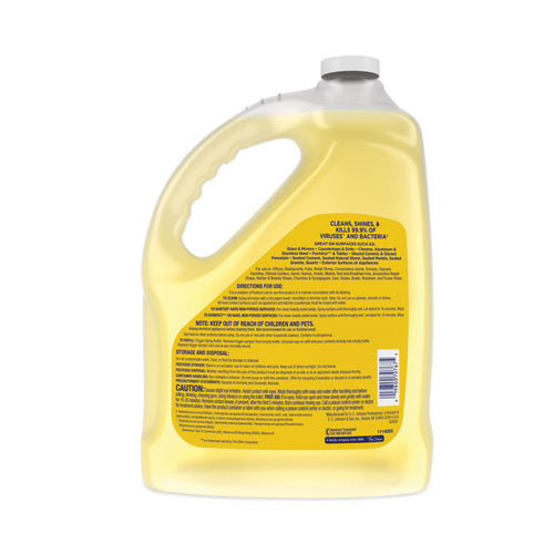 Windex Multi-surface Disinfectant Cleaner Citrus 1 Gal Bottle 4/Case