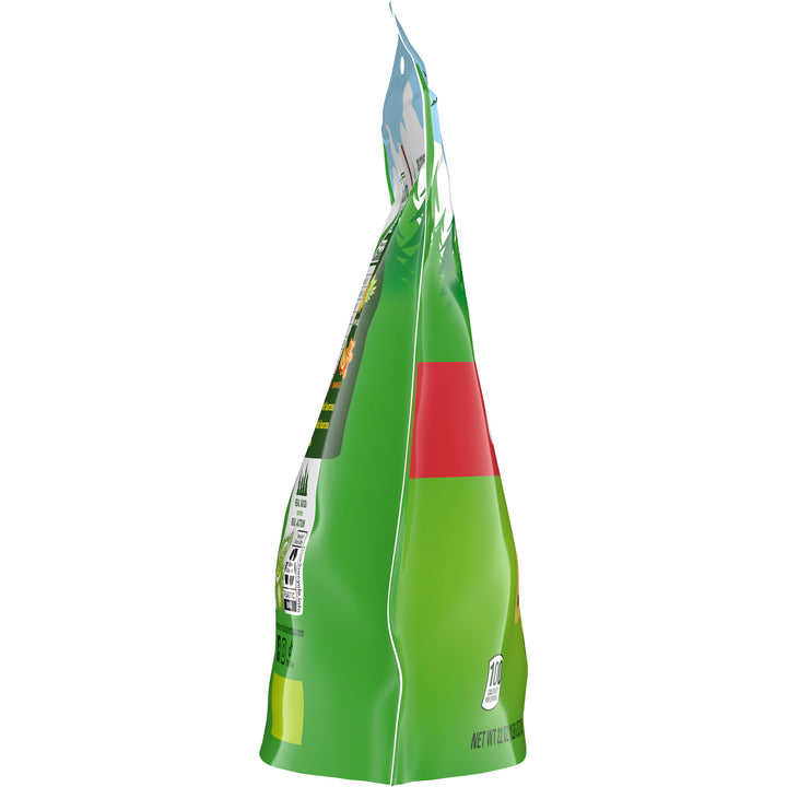 Black Forest Gummi Gummy Bears Stand Up-22 oz.-6/Case