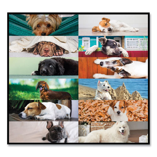Pets Collection Monthly Desk Pad, Puppies Photography, 22 X 17, Black Binding, Clear Corners, 12-month (jan To Dec): 2023