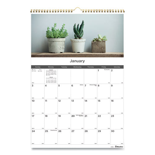 january succulent Blueline 12-Month Wall Calendar Succulent Plants Photography 12 x 17 White/Multicolor Sheets