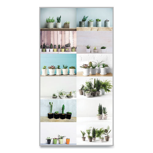 succulent wall calendar Blueline 12-Month Wall Calendar Succulent Plants Photography 12 x 17 White/Multicolor Sheets