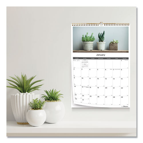 succulent wall calendar Blueline 12-Month Wall Calendar Succulent Plants Photography 12 x 17 White/Multicolor Sheets