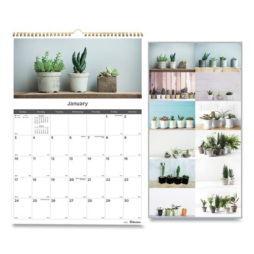 12-month Wall Calendar, Succulent Plants Photography, 12 X 17, White/multicolor Sheets, 12-month (jan To Dec): 2023