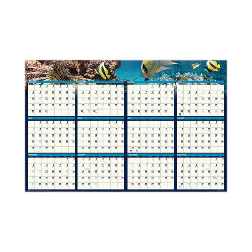 Earthscapes Recycled Reversible/erasable Yearly Wall Calendar, Sea Life Photos, 24 X 37, White Sheets, 12-month(jan-dec):2023