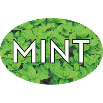 Label - Mint 4 Color Process 1.25x2 In. Oval 500/rl
