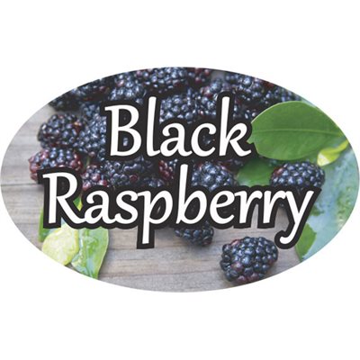 Label - Black Raspberry 4 Color Process 1.25x2 In. Oval 500/rl