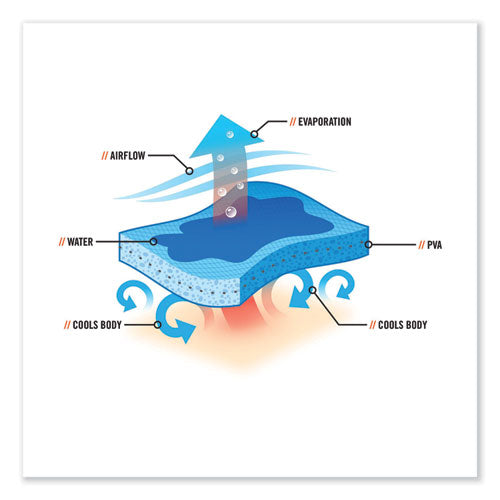 Ergodyne Chill-its 6601 Economy Evaporative Pva Cooling Towel 29.5x13 One Size Fits Most Pva Blue