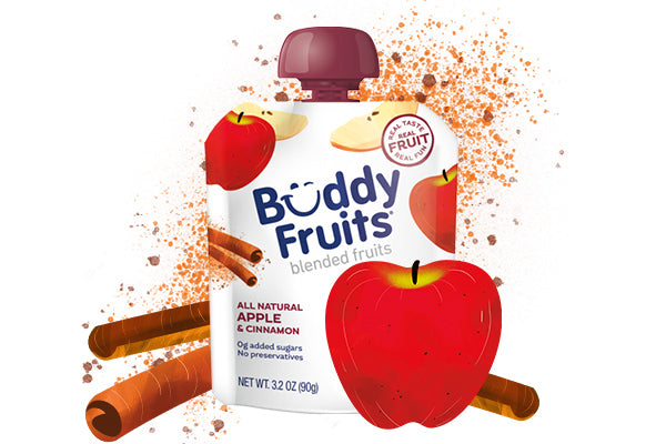 Buddy Fruits Blended Fruits-Apple Cinnamon-3.2 oz. Pack-70/Case