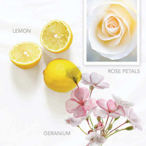 Pure By Gloss™ Hand Wash Vibrant Lemon 12.2 Oz Bottle 12/Case