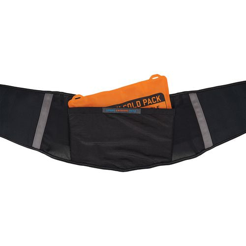 Ergodyne Proflex 1675 Back Support Brace With Cooling/warming Pack Small 25" To 30" Waist Black